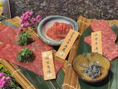 -老乾杯(深圳湾万象城店)