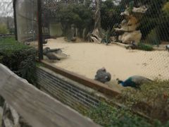 -南昌动物园