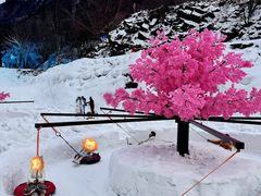 -叠溪松坪沟景区