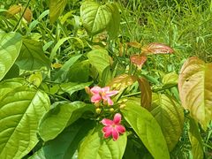 -蒲园食堂(中山大学广州校区南校园店)