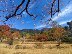 -塔川景区