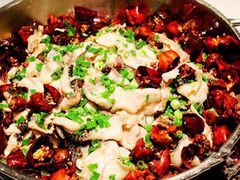 -百岁鱼(七一路店)