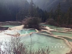 -黄龙山原始森林景区
