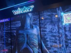 -温莎KTV(珠江路店)