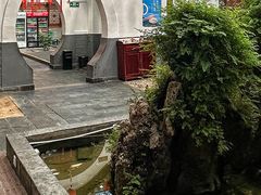 -炑羊香烤全羊(西三旗店)