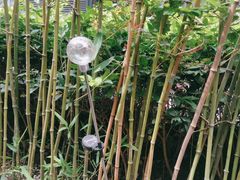 -梅花境(万科店)