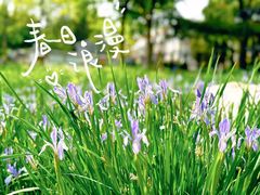 -陶然亭公园