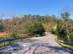-青龙山国家森林公园