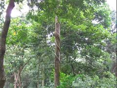 -广西壮族自治区药用植物园