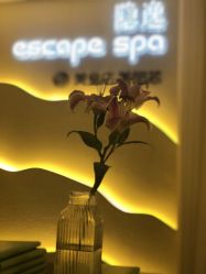 -梵隐SPA