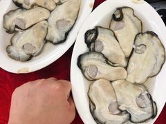 -花苑美食横琴生蚝火锅(拱北粤华路店)