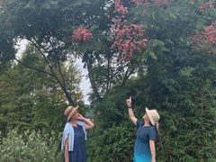 -贵阳市花溪国家城市湿地公园