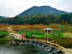 -广州市石门国家森林公园