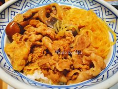 菌菇牛肉饭-吉野家(西客站南广场店)