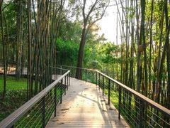 -云溪植物园