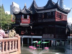 -豫园湖心亭茶楼