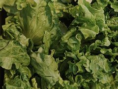 -金喜娜无限自助烤肉(泰达永旺店)