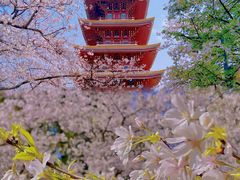 -东湖磨山景区