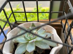 -古琢小馆·珠海味(南方软件园店)