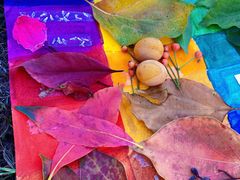 -蜀冈西峰生态公园