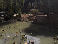 -韩湘水博园