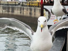 -大连圣亚海洋世界