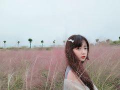 -大塘金香草谷