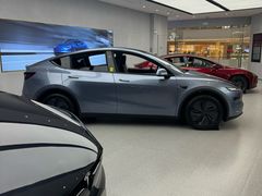 -TESLA 特斯拉(郑州正弘城体验店)