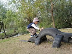 -前小桔亲子创意农场·草莓采摘·露营烧烤