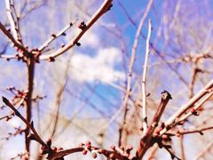 -碓臼峪自然风景区