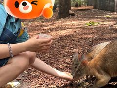 -费瑟代尔野生动物园