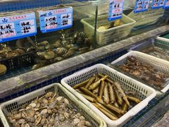 -骏莱海鲜鱼港(五角场店)