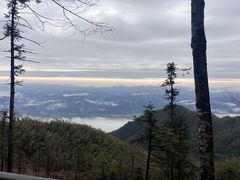 -大围山国家森林公园