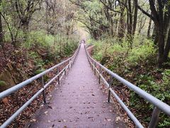 -惠山国家森林公园