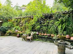 -青城甲(青城山店)