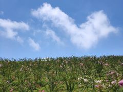 -威海华夏城景区