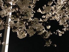 -江南大学(蠡湖校区)