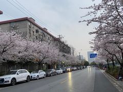 -永乐路-路侧停车场