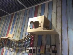 -小时光咖啡馆(开森度假森林店)