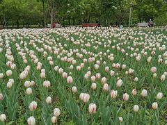 -长春公园(普阳街道)