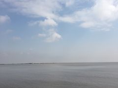 -上海棕榈滩海景酒店