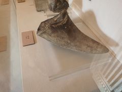 -北京动物园-畅观楼