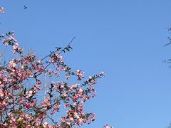 -上海滨江森林公园
