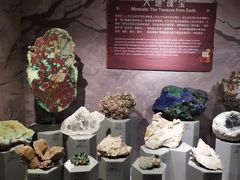 -正佳自然科学博物馆
