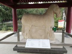 -茂陵博物馆