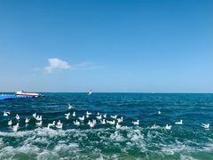 -青海湖国家重点风景名胜区