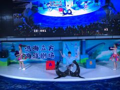 -成都浩海立方海洋公园