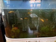 -云镜眼镜加工中心(南环路店)