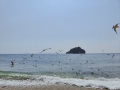 -棒棰岛宾馆景区