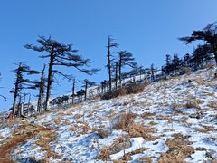 -秦岭风景区